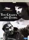 DVD]The Cranes Are Flying (sale / DVD]학이 난다