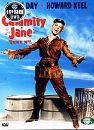 DVD]Calamity Jane / DVD]캘러미티 제인