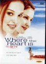 DVD]Where the heart is / DVD]노블리