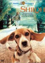 DVD]Shiloh / DVD]샤일로