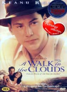 DVD]A WALK IN THE CLOUDS / DVD]구름속의 산책