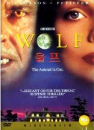 DVD]Wolf / DVD]울프_Sony0801
